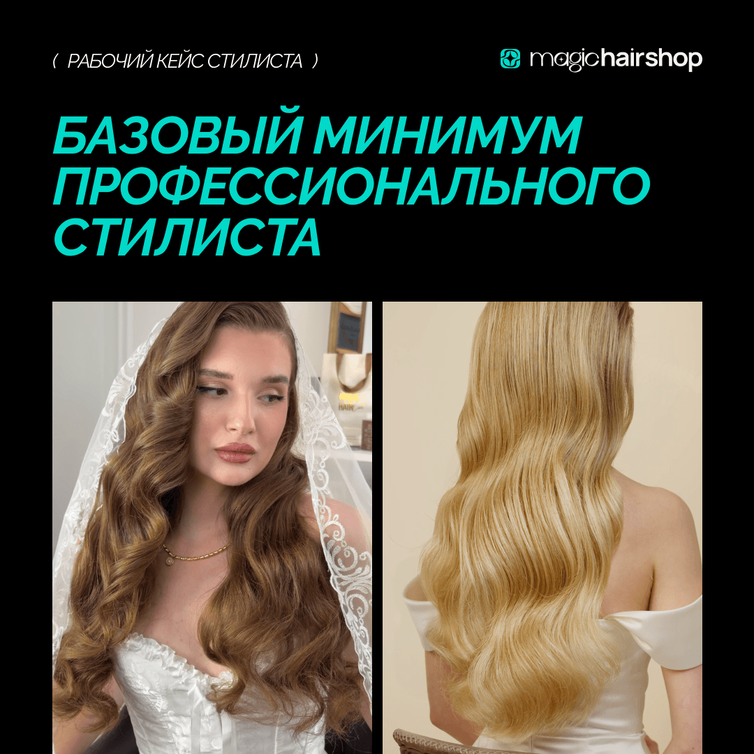 Топ-кейс стилиста (утюг 755)